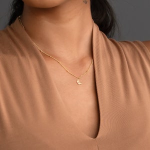 Pode incluir: Um colar de corrente de ouro com um delicado pingente de borboleta. O colar &eacute; usado por uma pessoa de pele morena e cabelo comprido e escuro.