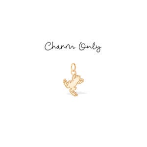 Può includere: Un ciondolo a forma di rana color oro con un anello per attaccarlo a una collana o un braccialetto. Il ciondolo ha la forma di una rana con le zampe divaricate. Il testo "Charm Only" è scritto sopra il ciondolo.