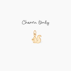 Squirrel Charm Necklace Woodland Animal Charm Add On Charm Forest Animal Jewelry Birthday Gift for Nature Lover Woodland Creature Gift