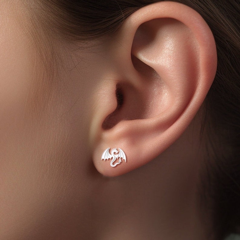 May include: A pair of silver dragon earrings. The earrings are small and delicate, and they feature a detailed dragon design.