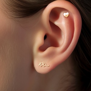 Armadillo Stud Earrings Dainty Minimalist Animal Earrings Reptile Jewelry Armadillo Gift for Her Cute Ant Eater Studs Jewelry