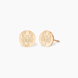 Zodiac Disc Earrings, Zodiac Jewelry, 14k Gold Filled Sterling Silver Earrings, Scorpio Zodiac Disc, Birth-month Symbol Earrings,