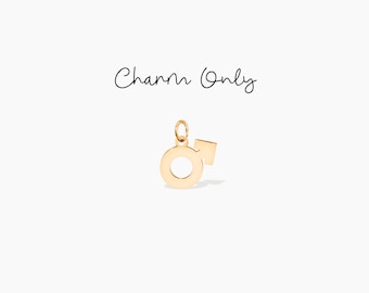 Male Gender Symbol Charm Add On Charm for Her Charm Necklace Mars Charm Personalized Pendant Custom Gift Birthday Gift Male Symbol Jewelry