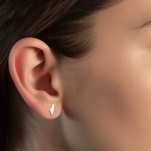May include: A close-up of a person's ear with a small silver earring shaped like the outline of Israel.