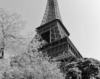 Eiffel Tower in Autumn - Paris, France - Black and White Photo Poster Art Picture