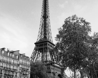 Eiffel Tower at Sunset in Paris, France - 8x10 Black & White Photo City Art Picture