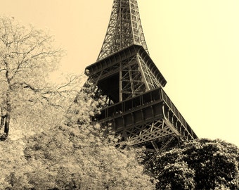 Eiffel Tower in Autumn - Paris, France - 8x10 Sepia Photo Industrial Art Picture
