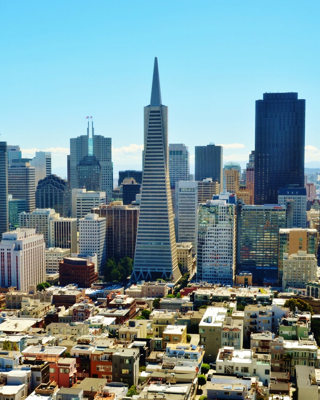 San Francisco, California City Skyline - Transamerica Pyramid Building