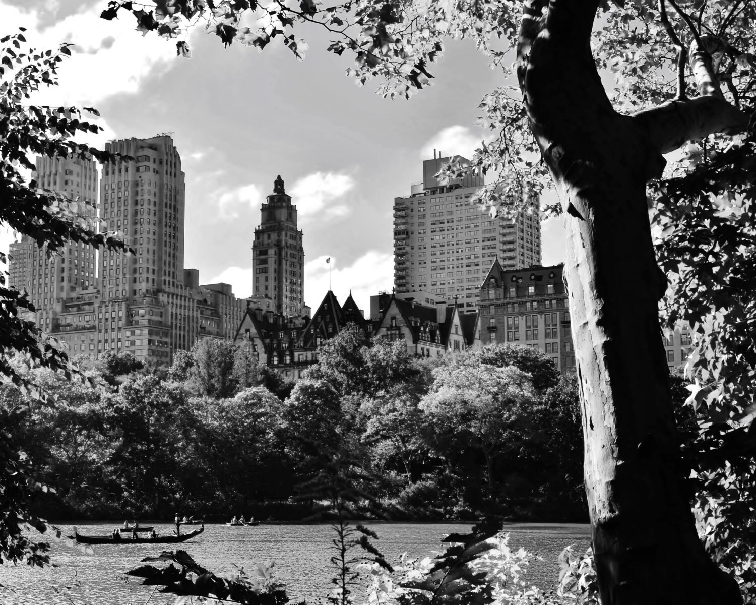 A Day at the Lake in Central Park New York City Manhattan - Etsy