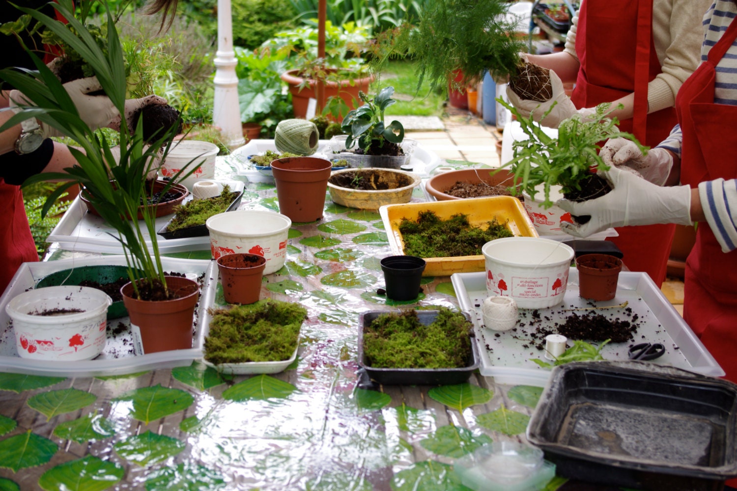 Fabrication de Kokedama