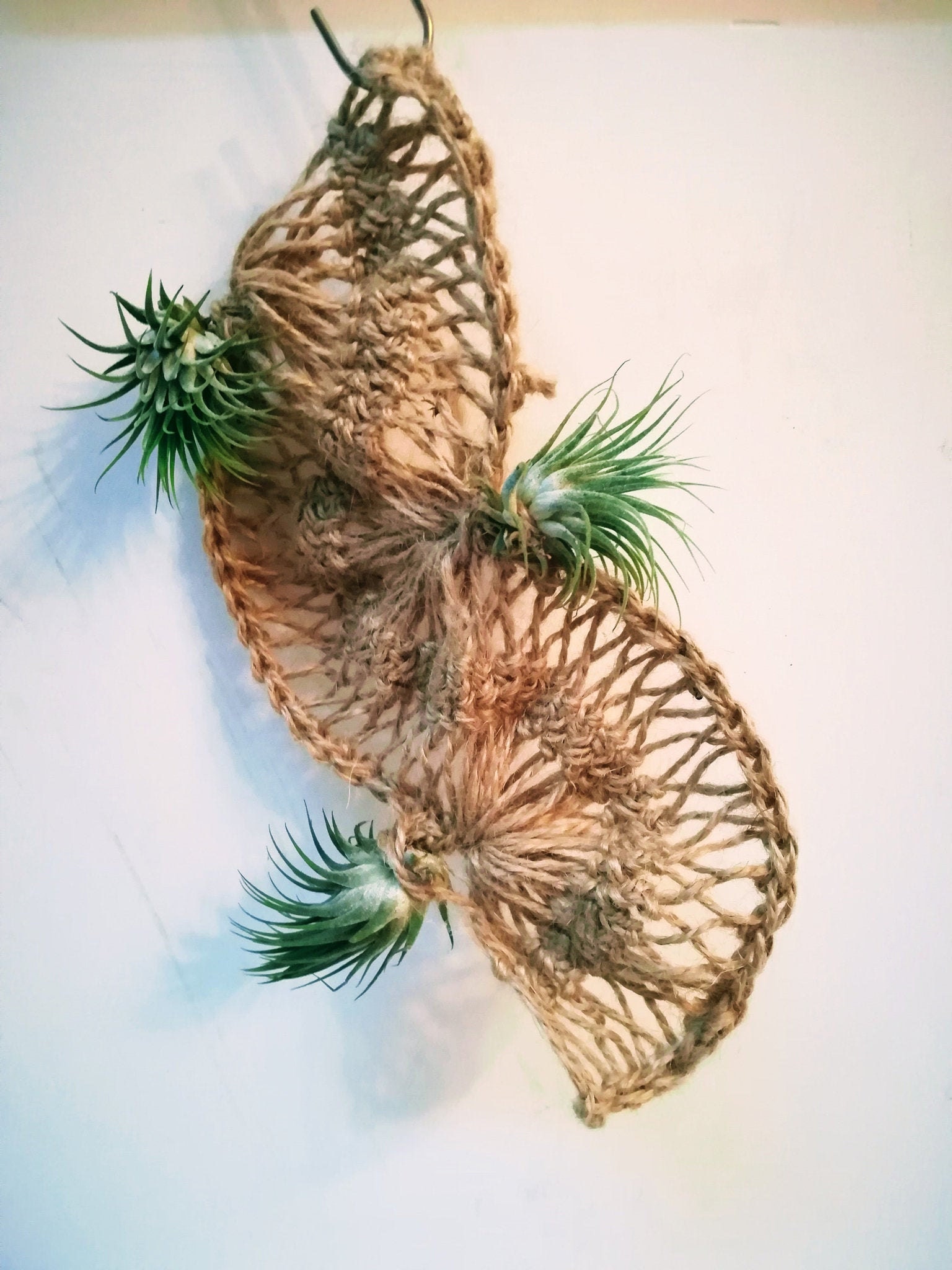 Tillandsia Suspension Yin Yang - Crochet Jute