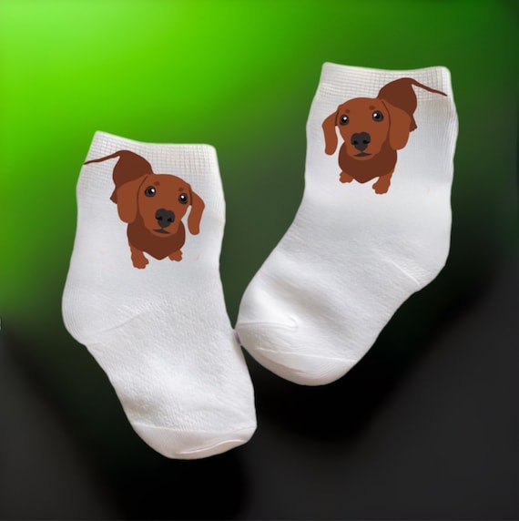 Dachshund socks 2024