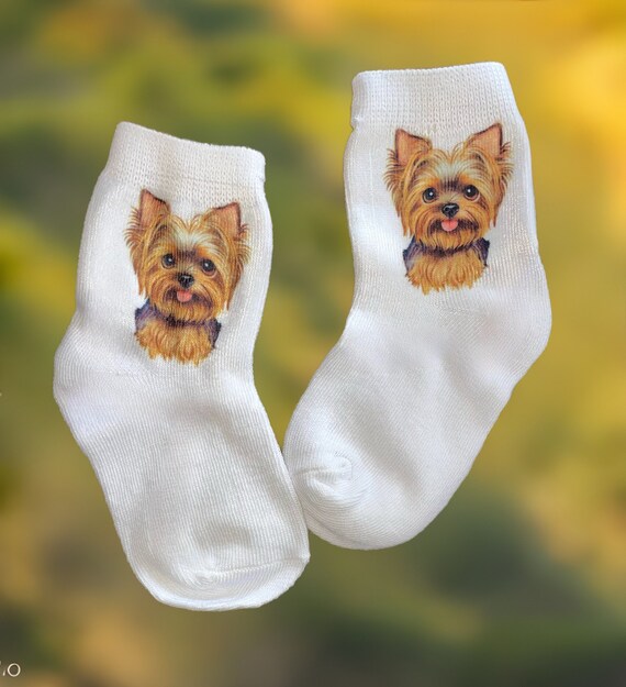 BROWN FUNNY DOGS SOCKS, BABY BROWN FUNNY DOGS SOCKS, BABY