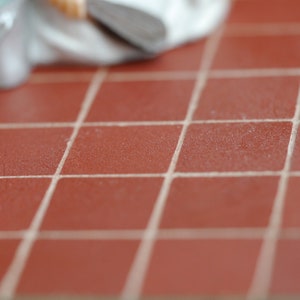 May include: Close-up of a red tiled floor with white grout lines. The tiles are square and have a slightly textured surface.