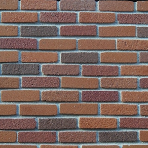 May include: A brick wall with a staggered pattern of red, brown, and gray bricks.