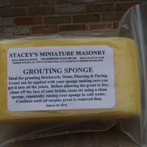 1 Staceys miniatyrfogsvamp.