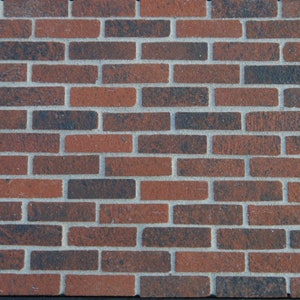 May include: A brick wall with a staggered pattern of red and dark brown bricks. The bricks have a rough texture and are set in a light gray mortar.