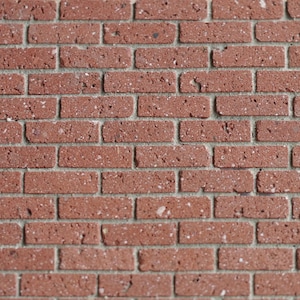 May include: Close-up of a red brick wall. The bricks are rectangular with a rough texture and are separated by gray mortar. The bricks have a reddish-brown color with small white specks.