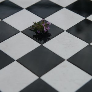 Puede incluir: Una sola rama de flores moradas se encuentra en el centro de un suelo de baldosas blancas y negras.