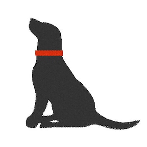May include: Silhouette of a black dog sitting with its head tilted up, wearing an orange collar.