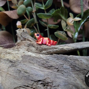 May include: A small, red and orange frog figurine with black eyes, resting on a piece of driftwood. The frog has a striped pattern. The background features greenery and dried leaves. The image includes a seller's logo.