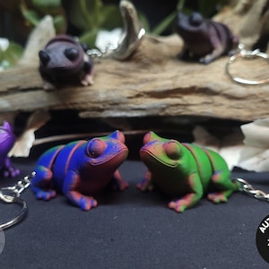 May include: Five colourful frog keychains, including a purple, black, green, and two multi-coloured frogs. The keychains are made of plastic and have a shiny finish. The keychains are on a wooden surface with a leaf and a tag that says "Authorized Zou3D Seller".