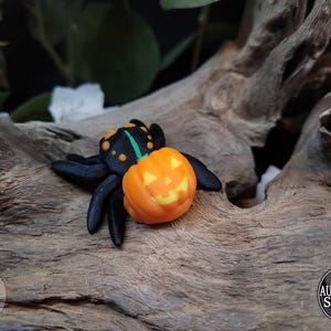 May include: A black and green spider figurine with a carved pumpkin face on its back. The spider is sitting on a piece of driftwood.