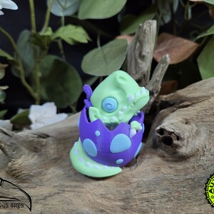 May include: A small, light green dinosaur figurine emerging from a purple egg with light blue spots. The dinosaur has a spiral pattern on its eye and visible white teeth. The egg has a jagged, broken top edge, and the dinosaur's tail extends outward.