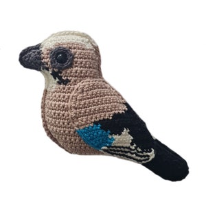 Jason the Jay PDF crochet pattern