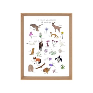 Peut inclure: Une affiche illustrée colorée de l'alphabet présentant des animaux et des plantes que l'on trouve en montagne. L'affiche est encadrée dans un cadre en bois brun clair. Le titre de l'affiche est "La faune & la flore de montagne".