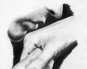 Fine Art Print of pencil drawing - art print - pencil drawing - black and white print - Wall Decor - illustration