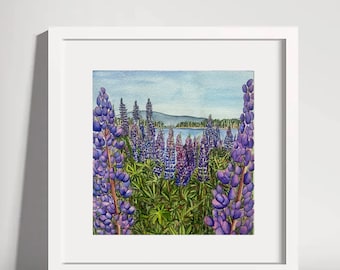 Può includere: Dipinto ad acquerello di un campo di fiori di lupino viola in fiore. I fiori sono in primo piano, con un lago e alberi sullo sfondo.
