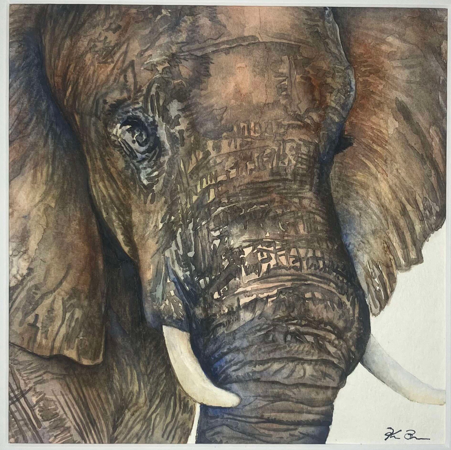 オリジナル水彩画 象 8 x 8インチ - Etsy 日本