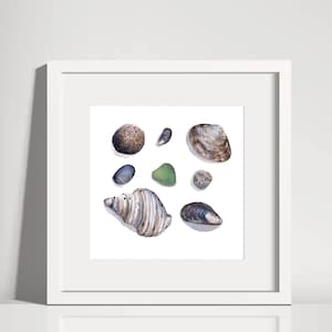 Watercolor Shell Art Print Seashell Painting Ocean Art Beach House Decor Beach Cottage Art Seaside Home Decor A
