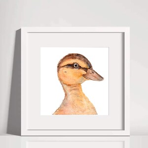 ORIGINAL Watercolor painting Farm Farmhouse Country Duckling 8 x 8