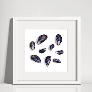 Watercolor Mussels Art Print Seashell Painting Ocean Art Beach House Decor Beach Cottage Art Seaside Home Decor