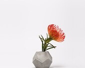 frauklarer dodecahedron concrete vase, geometric concrete minimalist vase, geometrical concrete vase