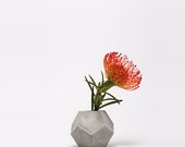 frauklarer dodecahedron concrete vase, geometric concrete minimalist vase, geometrical concrete vase