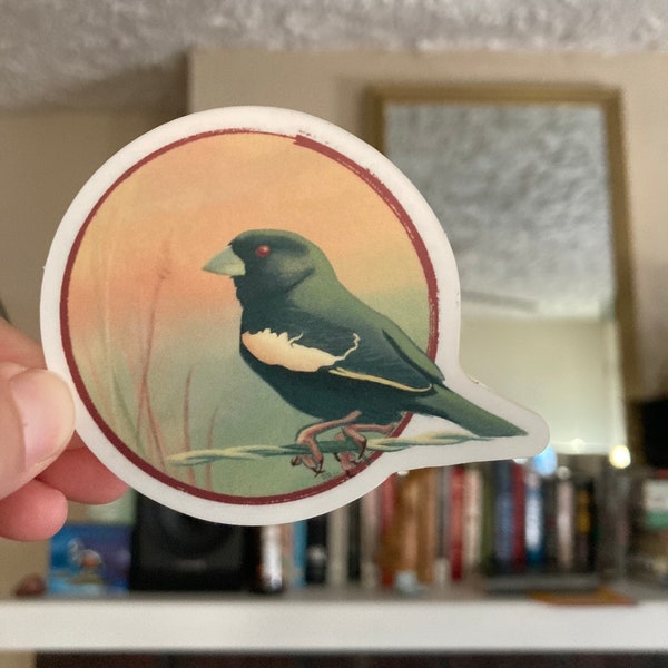 Lark Bunting Sticker -Colorado state bird- i brake for birds-birding sticker-birdwatching-bird nerd-gifts nature lovers-oddities-naturalist