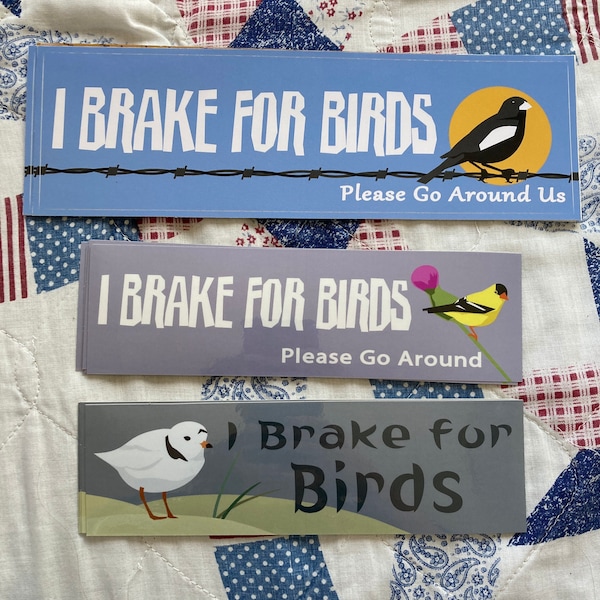 SMALL- I brake for birds-birding-birdwatching-plover lover-bird sticker-bumper sticker- birding sticker-plover sticker
