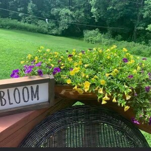 Signo Bloom Framed