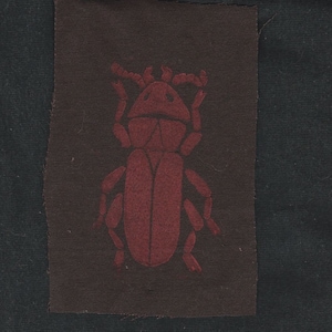 Red Flat Bark Beetle Patch