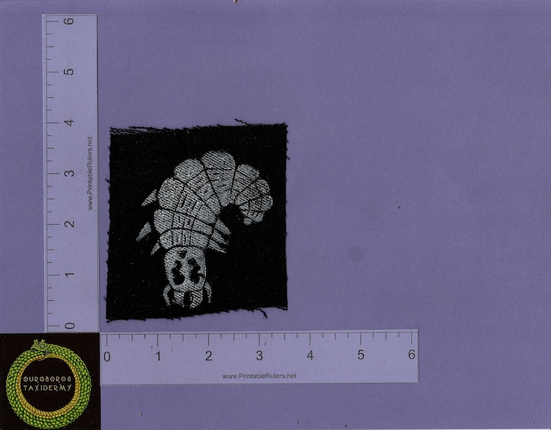 May include: A black fabric patch with a white embroidered image of a caterpillar. The caterpillar is facing left and has a segmented body.