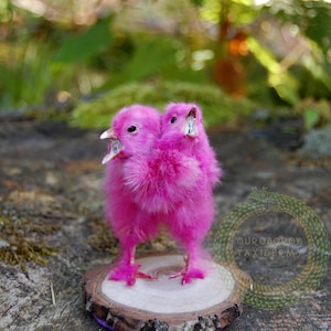 May include: A vibrant pink, two-headed chick stands on a small wooden slice. The chick has fluffy feathers and open beaks, set against a blurred natural background. The artwork is a unique, eye-catching piece.