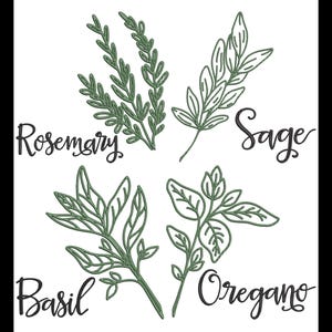 May include: Line art illustration of four herbs: rosemary, sage, basil, and oregano. Each herb is labeled with its name in black cursive text.