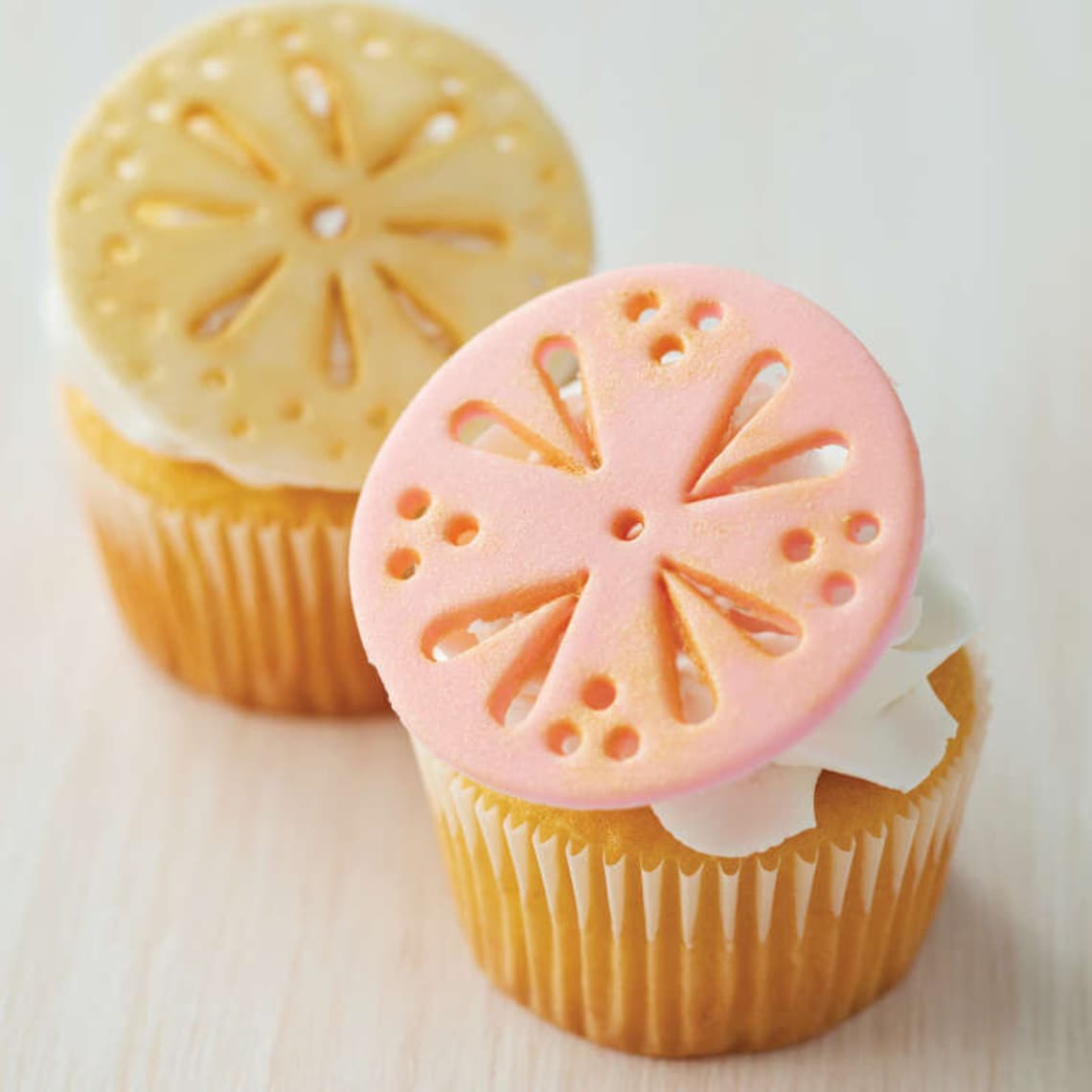 Tylose Powder Gumtex Tylose Powder Tylose for Fondant Etsy