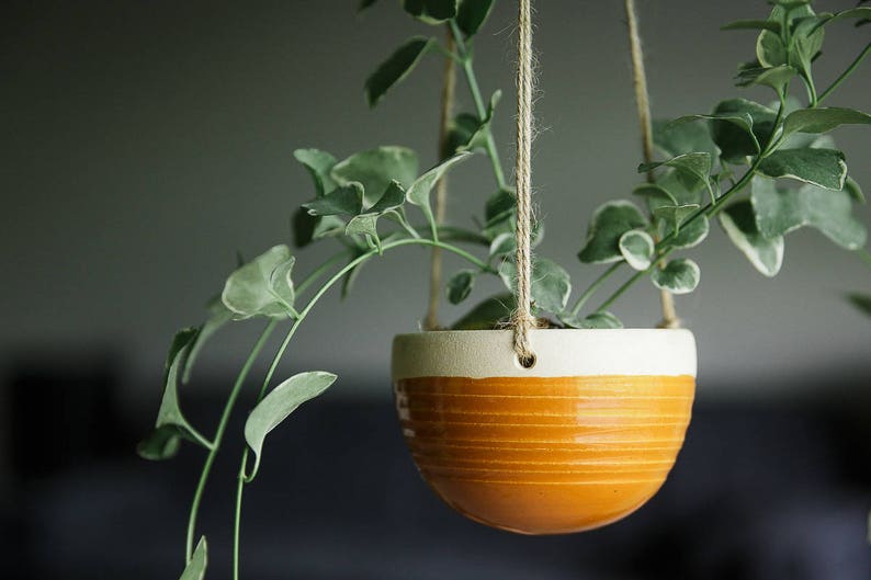 Ceramic Hanging Planter Ceramic Hanging Planter