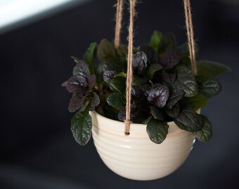 CERAMIC HANGING PLANTER // handmade - succulent planter - ceramic planter - hostess gift - minimalist decor - ivory