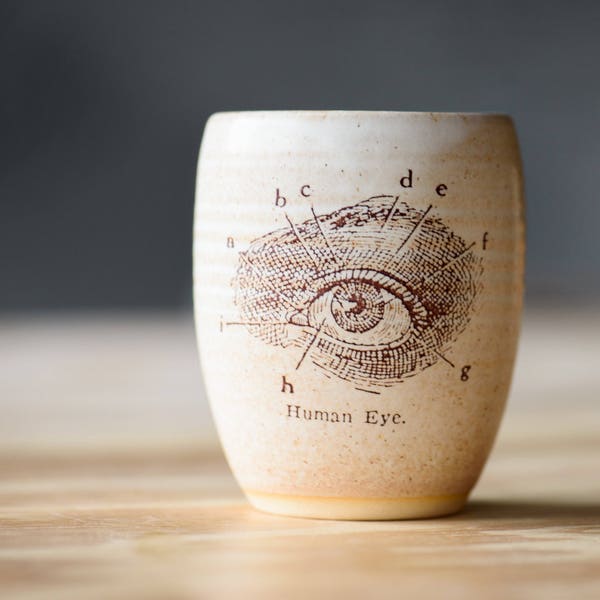 EYE WINE GLASS // pottery drinking glasses - wine gifts - human anatomy - ceramic cup - handmade pottery - eye diagram - optometrist gift