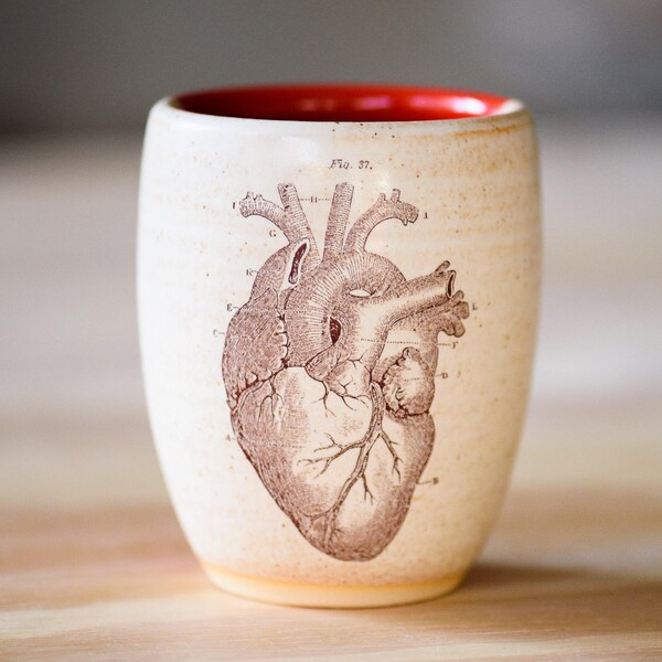 HEART WINE GLASS // handmade- anatomical heart- anatomy art- cardiac gift- heart- vintage illustration- rustic - pottery drinking glasses